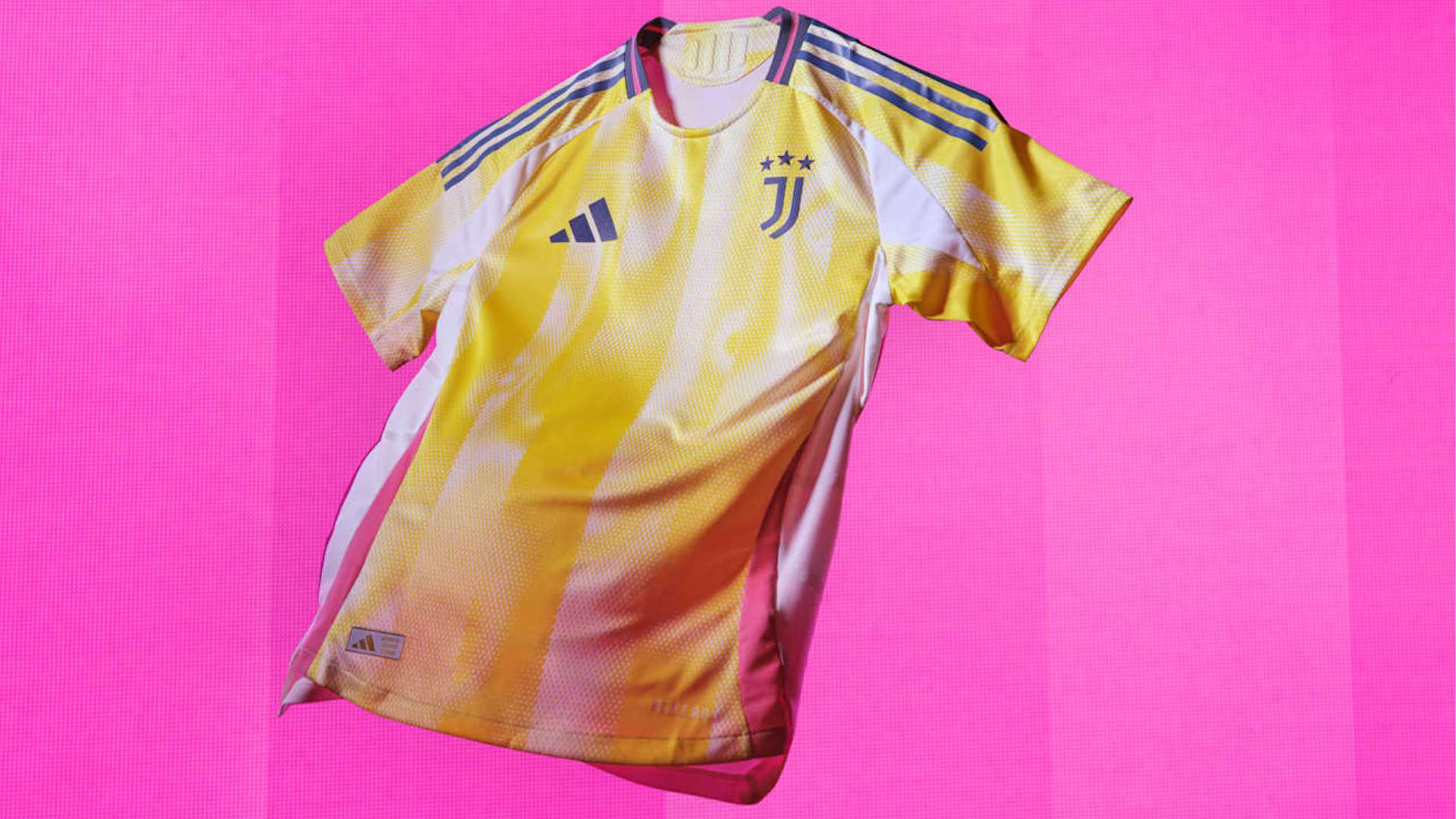 浙江队夺得 浙江队夺得